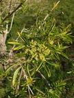m 20200420 104037